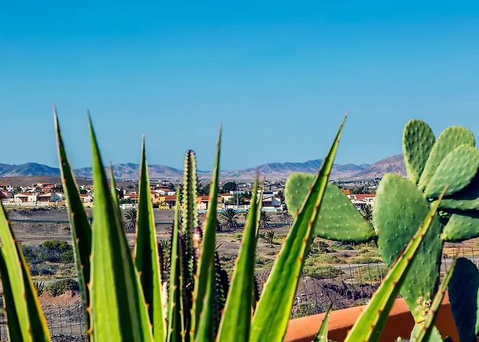 Village Дом отдыха *